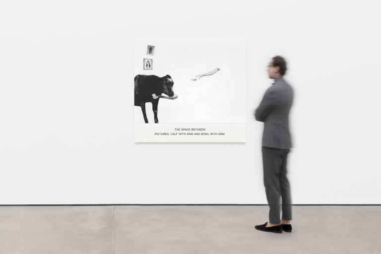 John Baldessari
The Space Between Pictures, Calf With Arm and Bowl With Arm., 2019 (scale image)