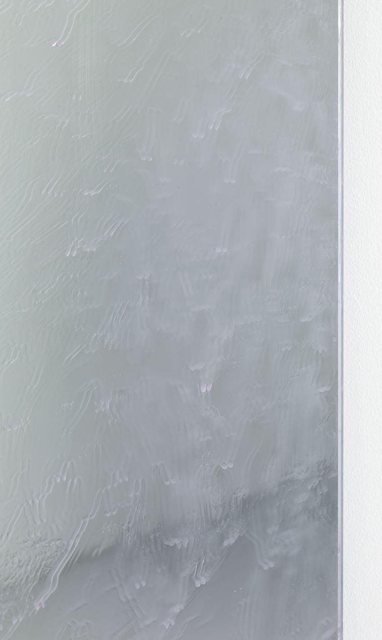 Pamela Rosenkranz
Anamazon (Hot Flow), 2021 (detail)