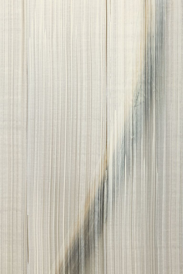 Hyun-Sook Song
5 Brushstrokes over Tiger, 2009 (detail)