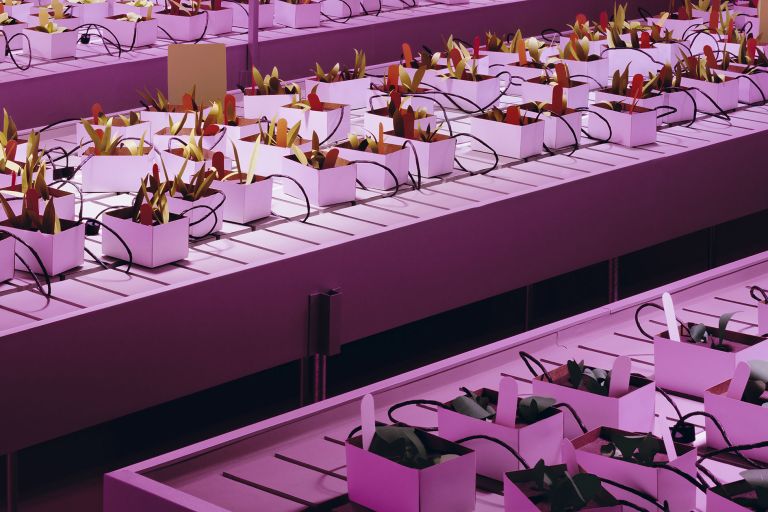 Thomas Demand
Nursery, 2020 (detail)