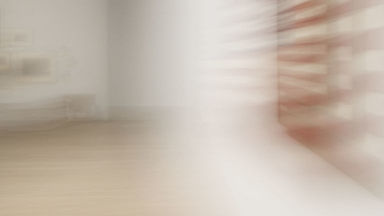 Louise Lawler
Three Flags (swiped and taken), 2022
Dye sublimation print on museum box
121.9 &times; 216.7 cm
48 &times; 85 5/16 inches