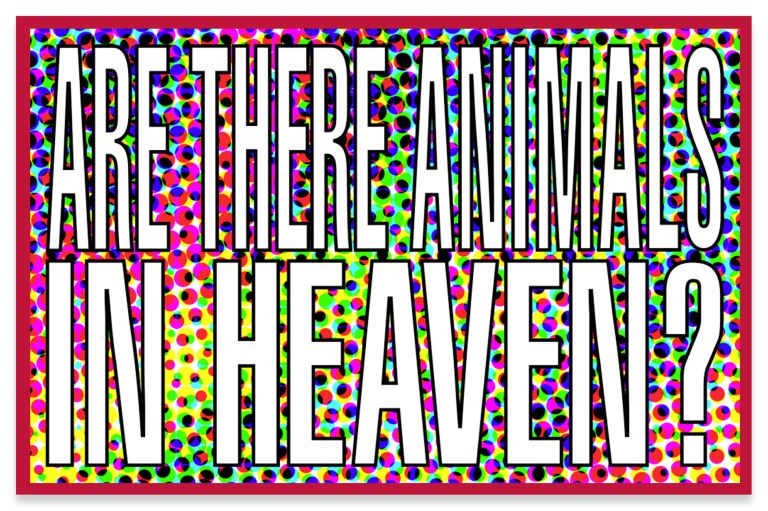 Barbara Kruger
Untitled (Are there animals in heaven?), 2011
Archival pigment print
81.3 &times; 127 cm
32 &times; 50 inches