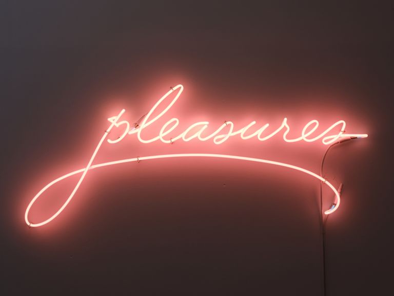 Sylvie Fleury
Pleasures (pink flamingo), 2022
Pink orange neon
40 &times; 120 cm
15 3/4 &times; 47 1/4 inches
Edition of 24 + 2 AP