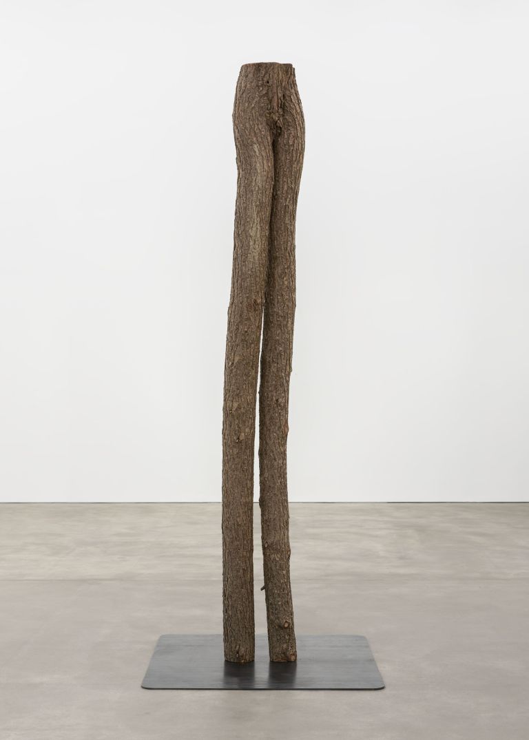 Lucy Dodd
Rising Rooted, 2024