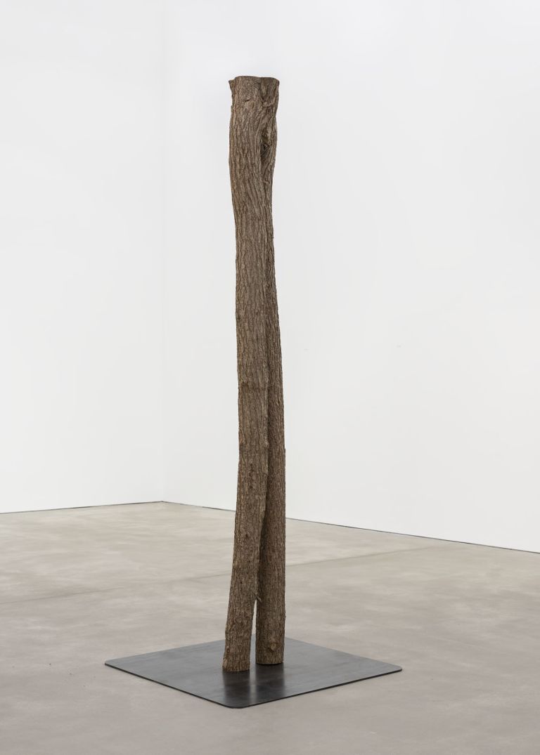Lucy Dodd
Rising Rooted, 2024