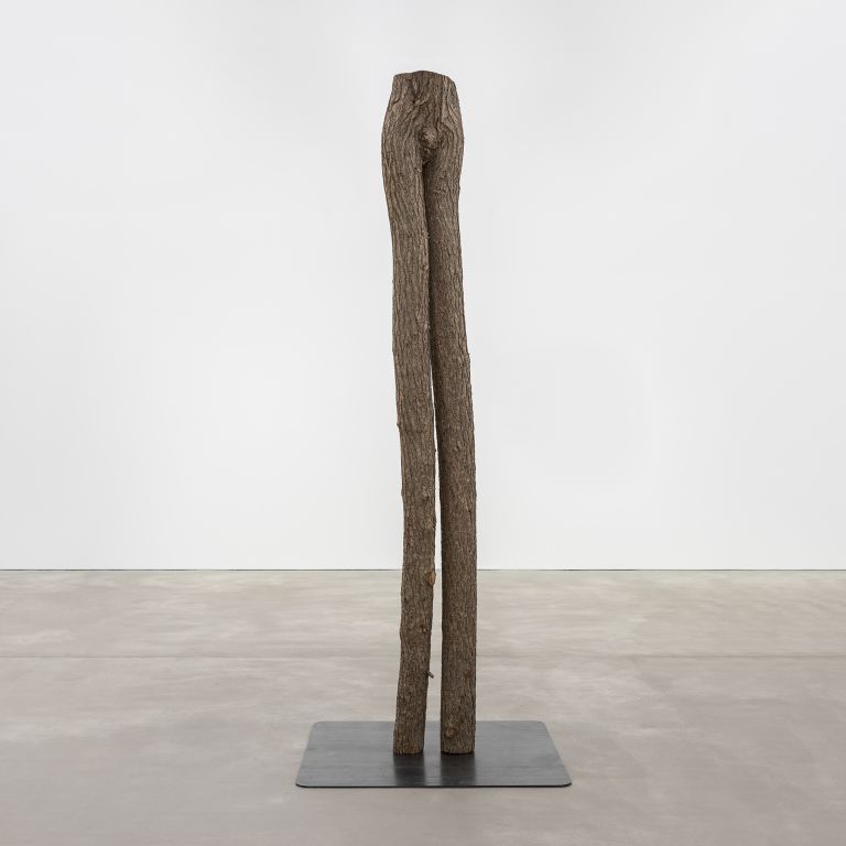 Lucy Dodd
Rising Rooted, 2024
Tree trunk, steel foot
401.3 x 50.8 x 45.7 cm | 158 x 20 x 18 inches