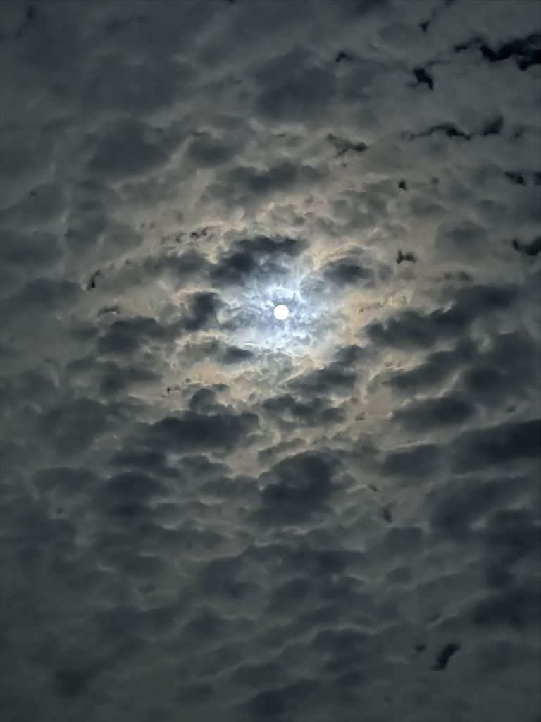 Andreas Gursky
Maldives, 2023