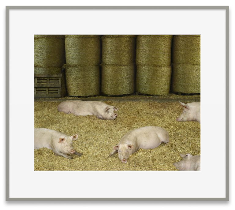 Andreas Gursky
Schweine II, 2020
C-print, behind glass
106.9 &times; 122.4 &times; 4.9 cm | 42 &times; 48 1/8 &times; 2 inches (framed)
Edition of 6 + 2 AP