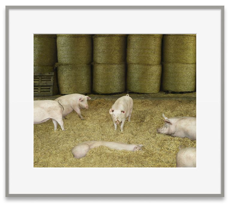 Andreas Gursky
Schweine III, 2020
C-print, behind glass
106.9 &times; 122.4 &times; 4.9 cm | 42 &times; 48 1/8 &times; 2 inches (framed)
Edition of 6 + 2 AP