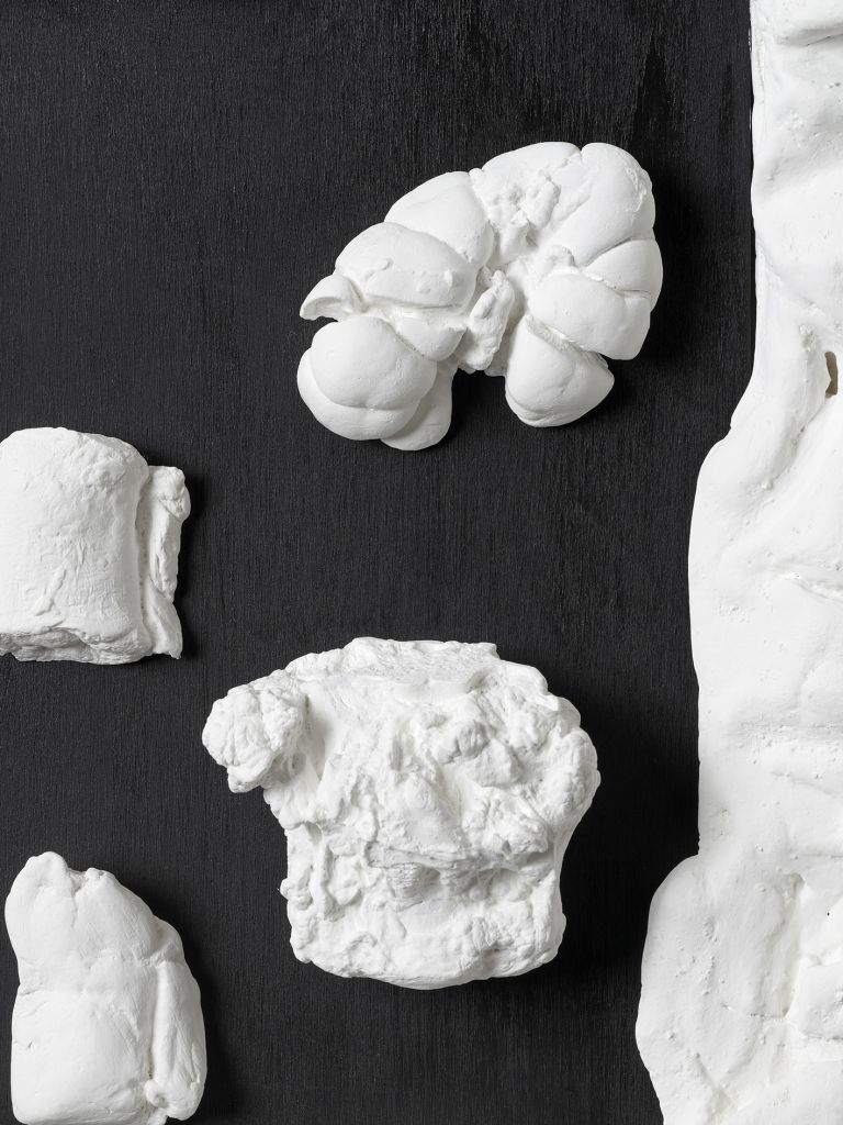 Rosemarie Trockel
Coup de Gr&acirc;ce, 2006/25 (detail)