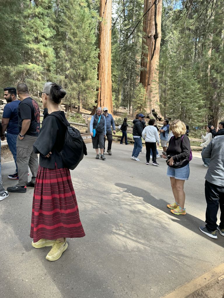 Exhibition panel with descriptive text and photographs showing performance documentation in outdoor forest settings with large trees.