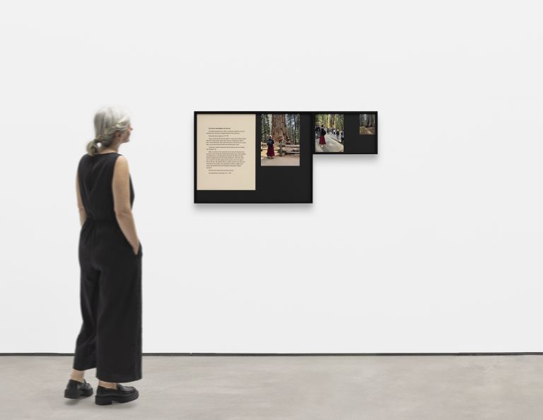 Exhibition panel with descriptive text and photographs showing performance documentation in outdoor forest settings with large trees.