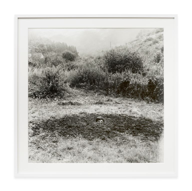 Grid of nine identical black and white photographs showing a person gradually disappearing into a landscape.