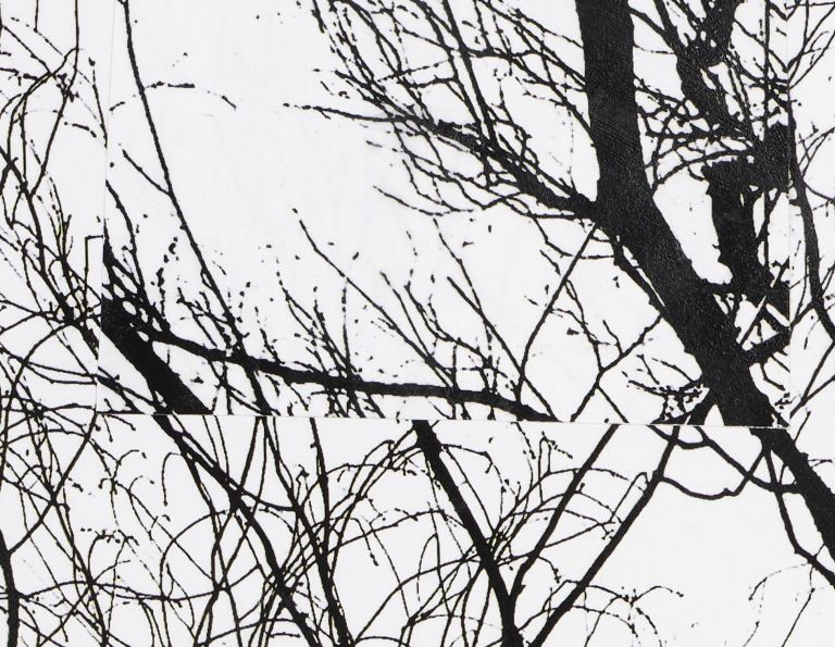 Framed black and white photograph of bare winter tree branches against sky in white matting