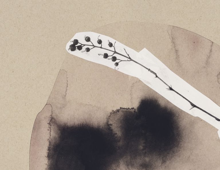 Framed mixed media artwork with watercolor organic form and white botanical elements with graphite