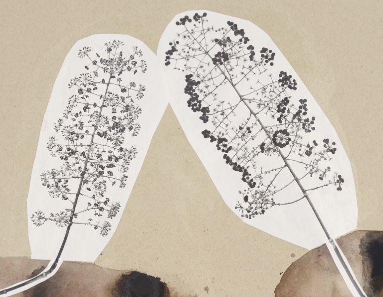 Framed mixed media artwork with watercolor organic form and white botanical elements with graphite