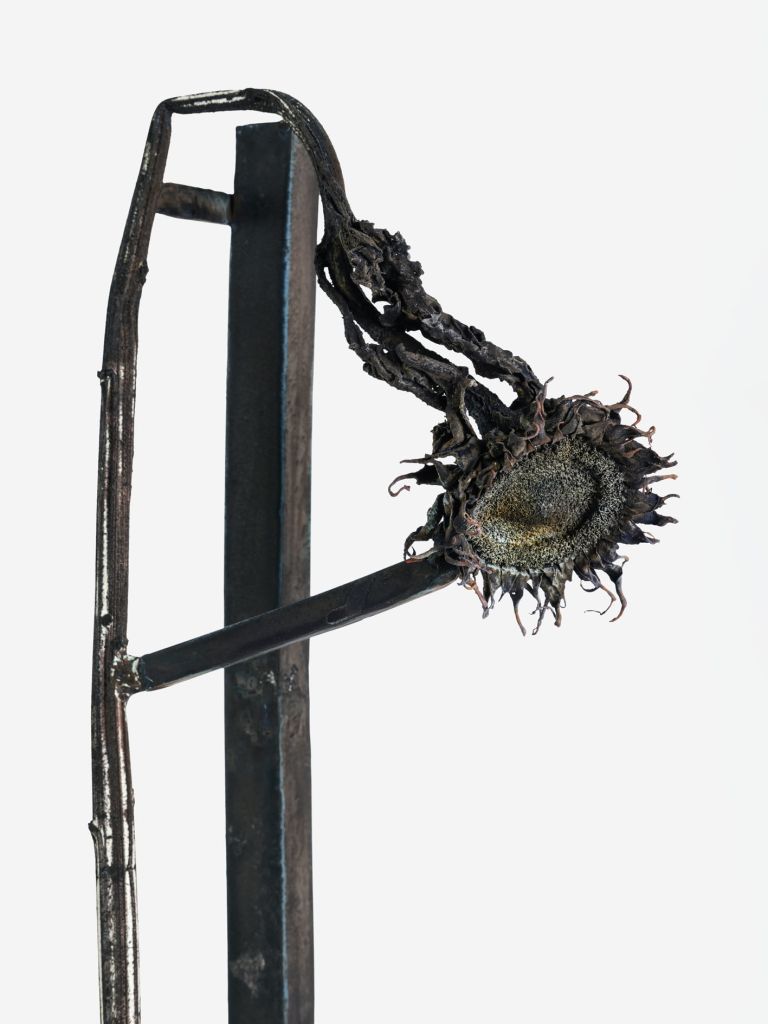 Metal sculpture with dried sunflower head attached, standing on conical base