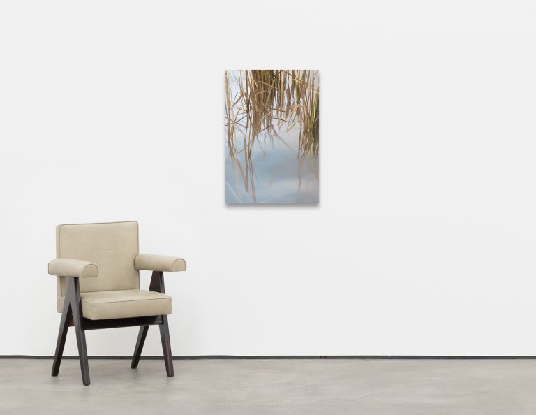 Photograph of dry reeds and grasses reflected in calm pale blue water surface.
