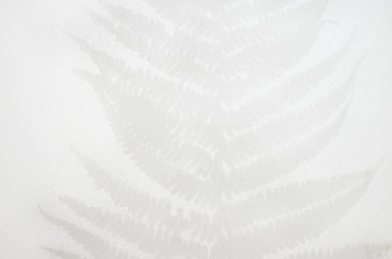 Single black-framed glass panel on standing base, with faint fern and plant silhouettes printed on frosted surface.