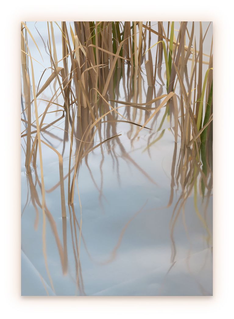 Photograph of dry reeds and grasses reflected in calm pale blue water surface.