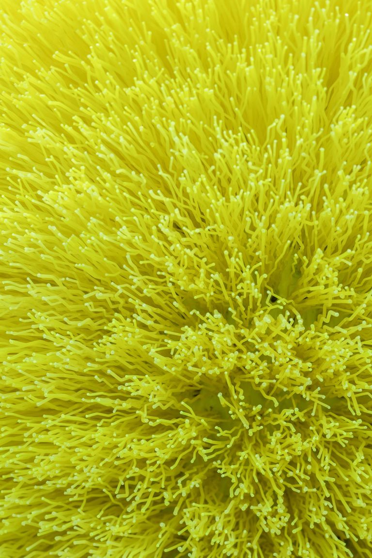 Bright yellow-green fuzzy sculpture in form of exclamation mark - teardrop shape suspended above sphere on gallery floor