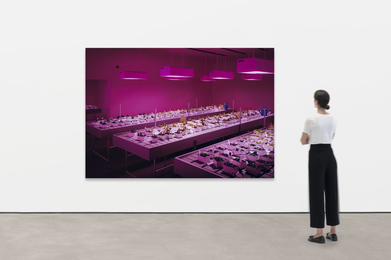 Thomas Demand
Nursery, 2020