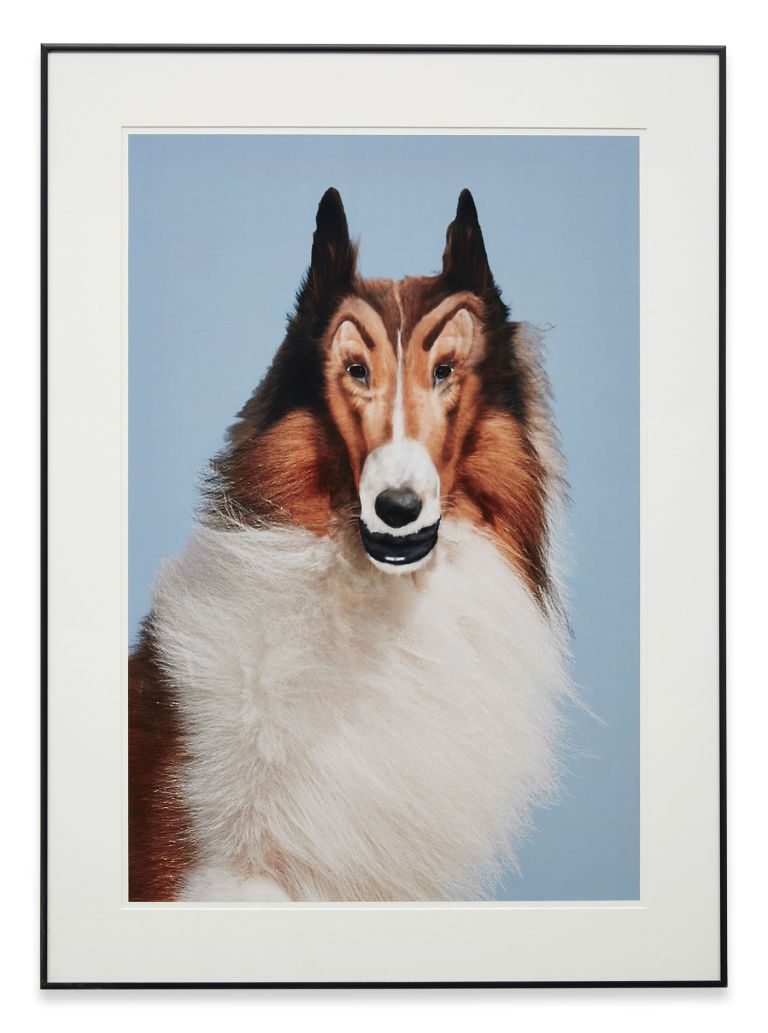 John Waters
Reconstructed Lassie, 2012
C-print
76.2 × 50.8 cm
30 × 20 inches