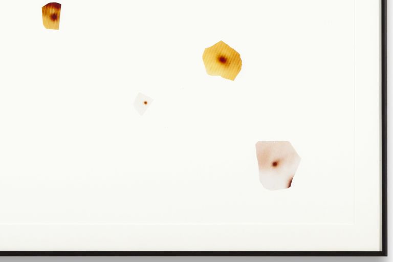 John Waters
21 Pasolini Pimples, 2006 (detail)