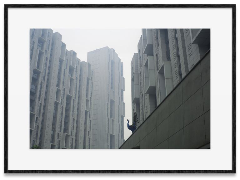 Cao Fei
Haze and Fog 09, 2013