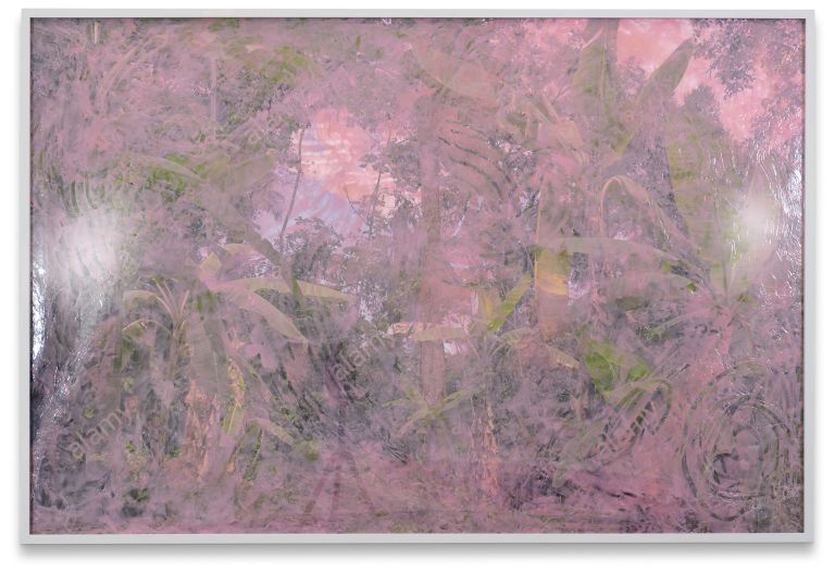 Pamela Rosenkranz
Anamazon (Get Digit), 2021
Acrylic paint, inkjet print, plexiglas
113 &times; 168 cm
44 1/2 &times; 66 1/8 inches