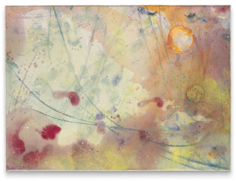 Lucy Dodd
Lifetimes of Lifelines, 2021
Puddles of pigment on canvas
138.4 &times; 189.2 cm
54 1/2 &times; 74 1/2 inches