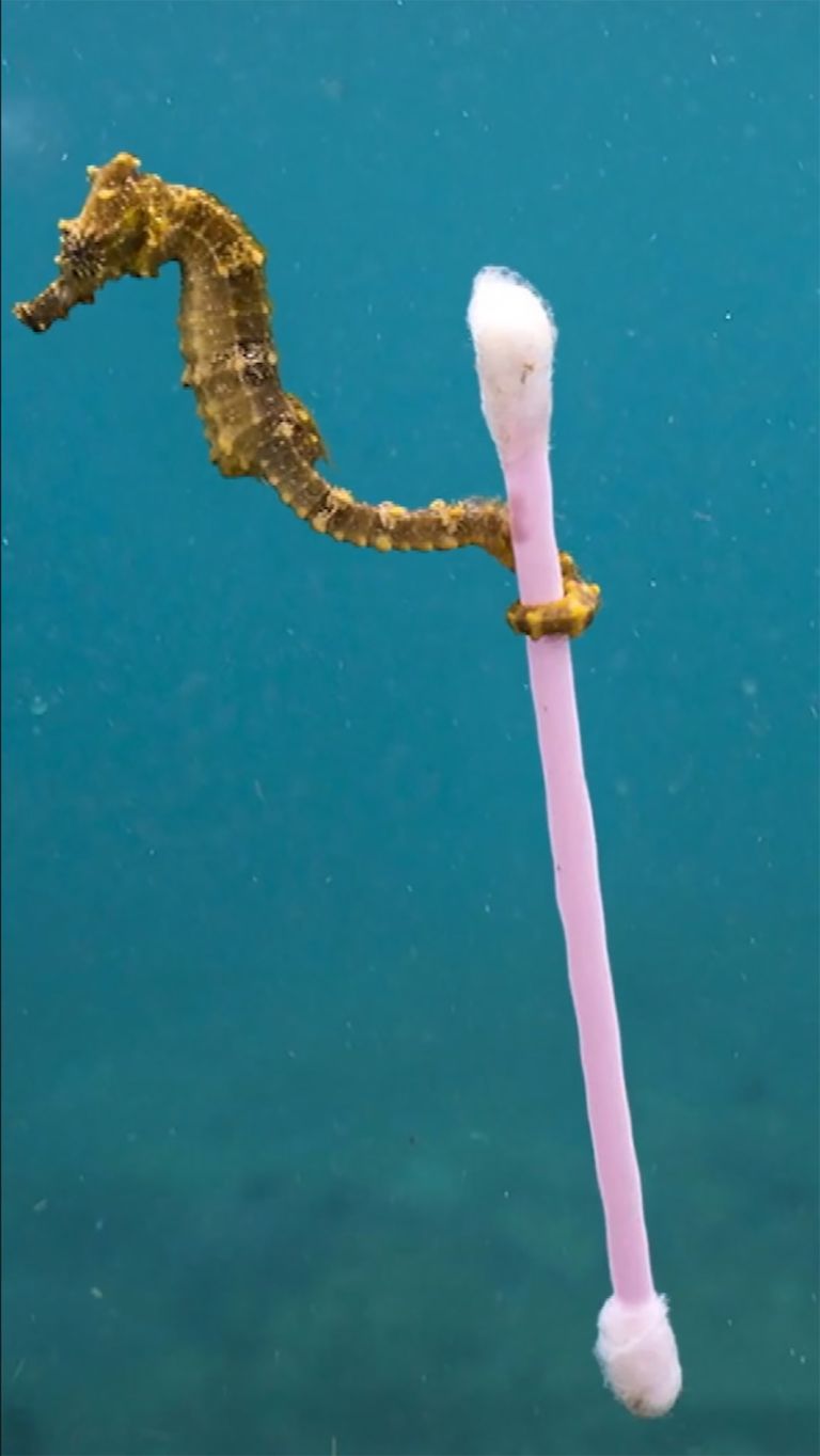 Jon Rafman
Egregore I, 2021
4K video
7:01 min