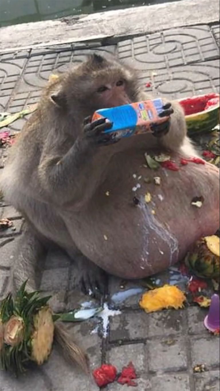 Jon Rafman
Egregore I, 2021