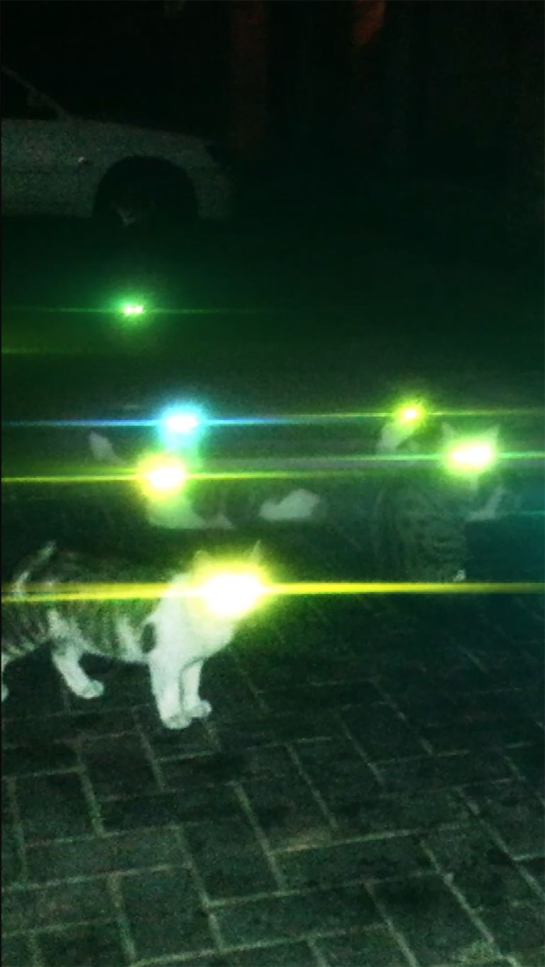 Jon Rafman
Egregore I, 2021