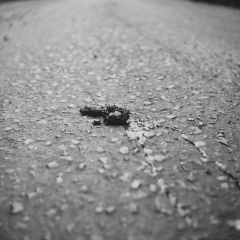 Keith Arnatt
Defecation Piece, 1969/2023 (detail)