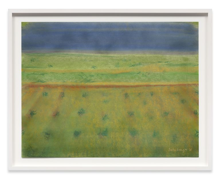 Richard Artschwager
Bushes with Blue Sky, 2011
Pastel on green paper
50.2 &times; 65.4 cm
19 3/4 &times; 25 3/4 inches
59.2 &times; 74.4 cm (framed)
23 1/4 &times; 29 1/4 inches (framed)