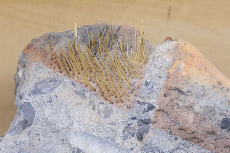 Zhang Ruyi
Planter-5, 2018 (detail)