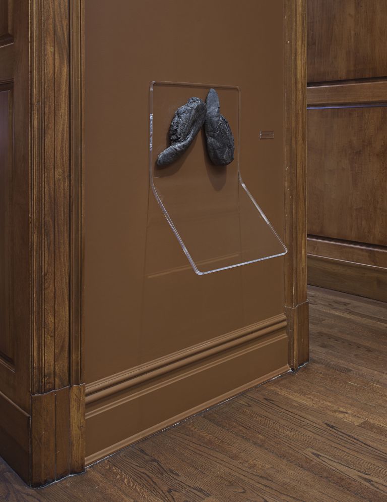 Two dark, possibly charred or coal-like objects displayed on a clear acrylic mount against a brown wall with wooden paneling visible on the sides and wooden flooring below.