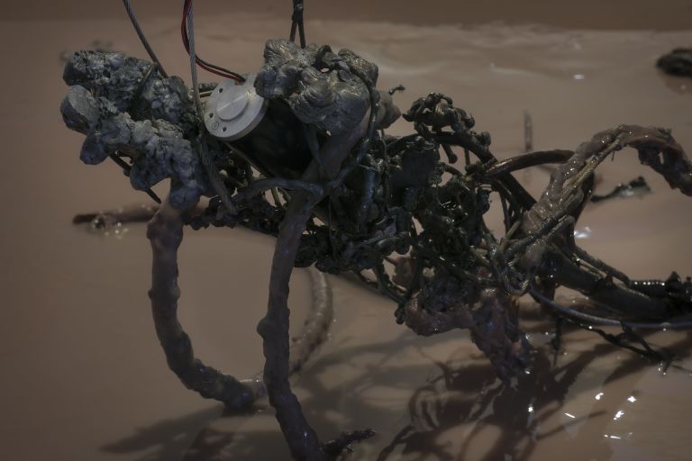 Mire Lee
Untitled (my motorized Ophelia), 2025 (detail)