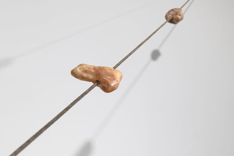 Paul Thek
Meat Cable, 1969 (detail)