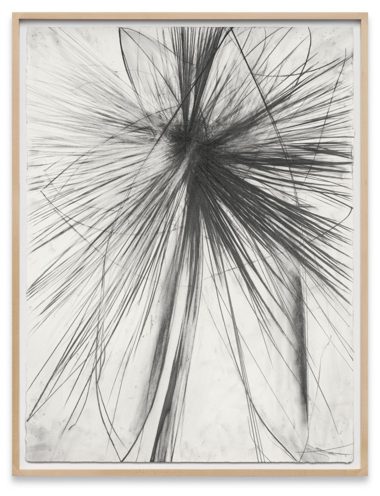 Framed abstract drawing with dense black graphite lines exploding outward in all directions on white