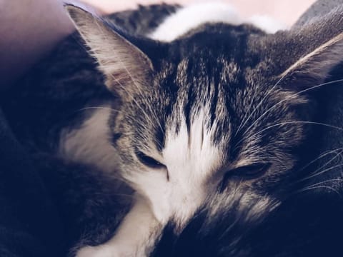 My beautiful Minnie. She’s so cute.