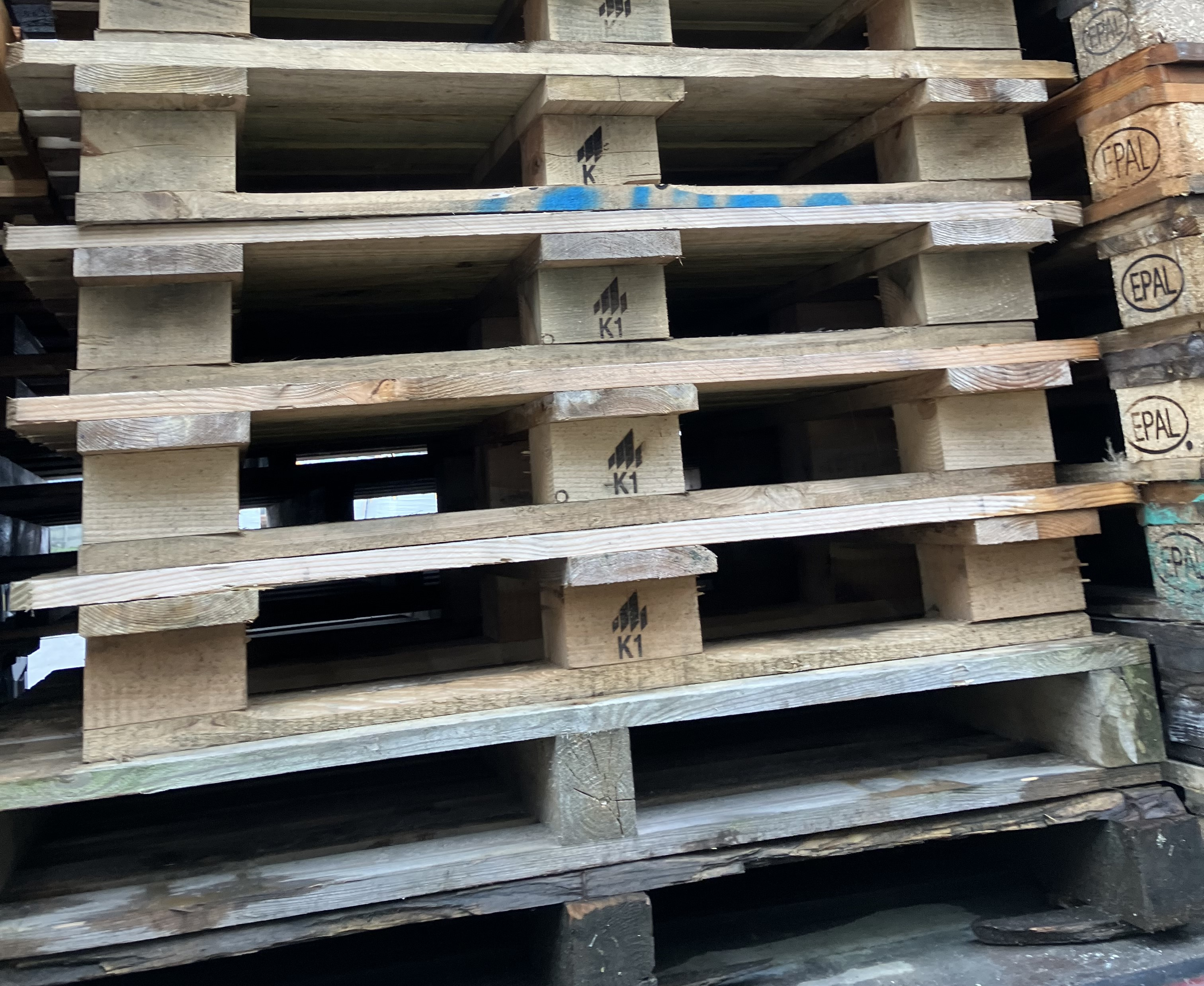 WB  K1 pallet (statiegeld € 22,00 credit bij retour)