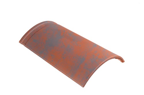 BMI 1880 oud rood holle vorst