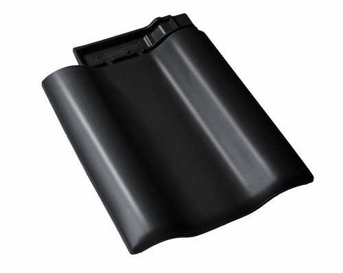 BMI Rubin 9V diepzwart dubbele welpan