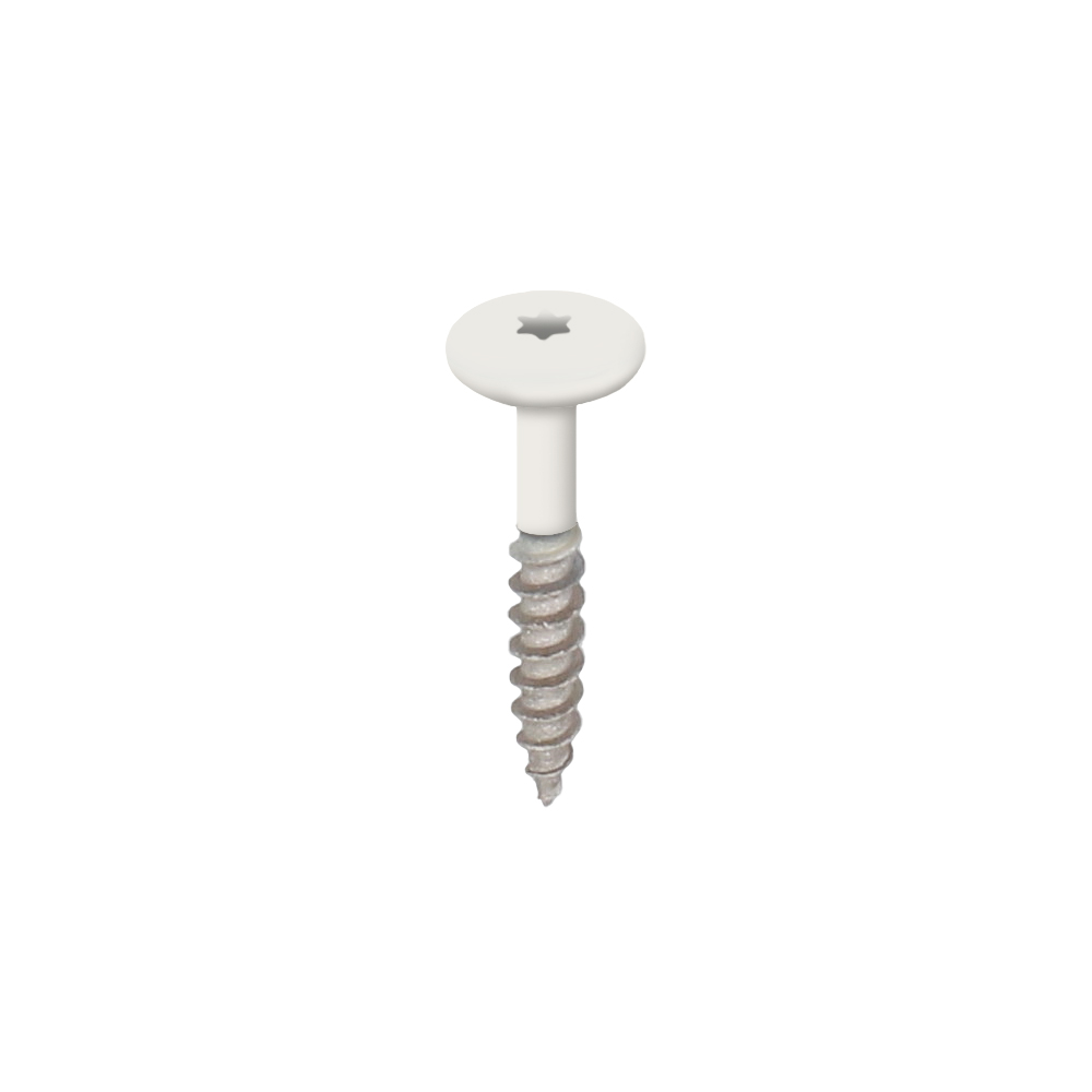 Heering Torx schroef 32mm rvs V2A wit doos 100 st