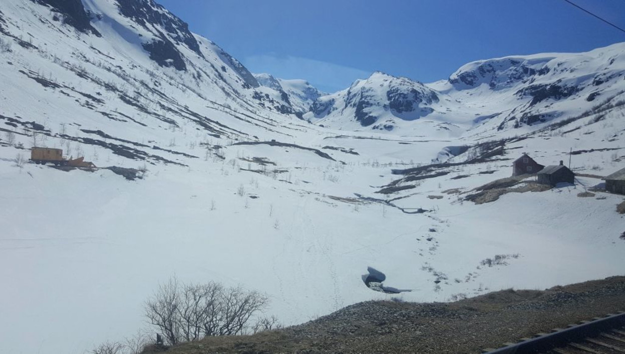 From the Oslo - Bergen train between Myrdal and Voss