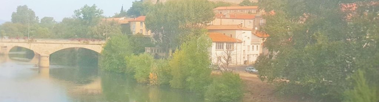 The view from the right of the train just after Beziers station