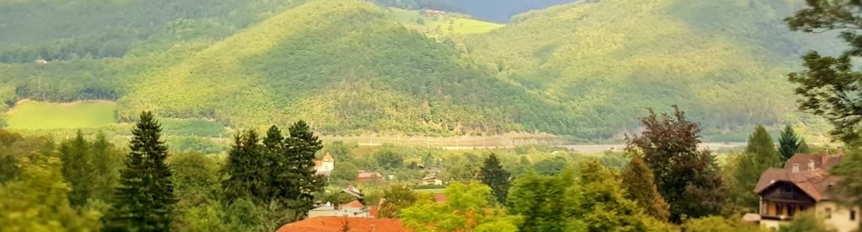 Looking down on Payerbach as the train begins to ascend