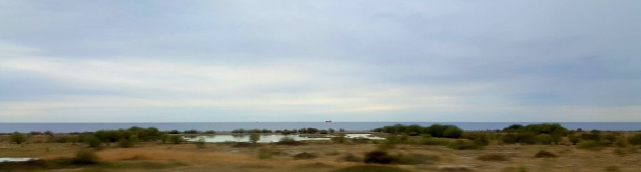 Between the tunnel and the bridge on the Oresund Line